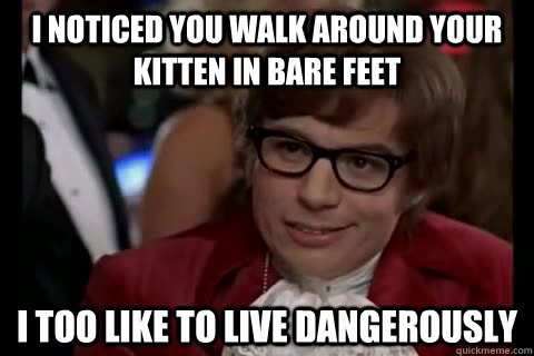 I noticed you walk around your kitten in bare feet i too like to live dangerously  Dangerously - Austin Powers