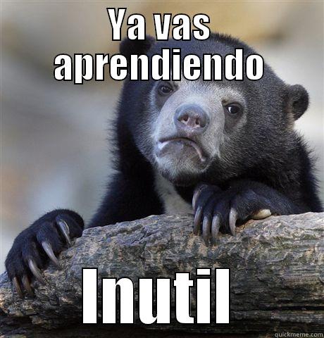 YA VAS APRENDIENDO INUTIL Confession Bear