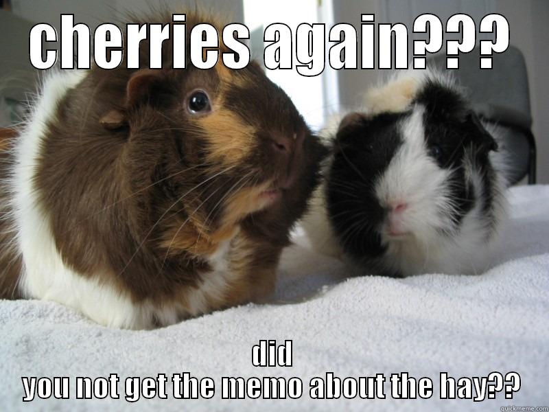 CHERRIES AGAIN??? DID YOU NOT GET THE MEMO ABOUT THE HAY?? Misc