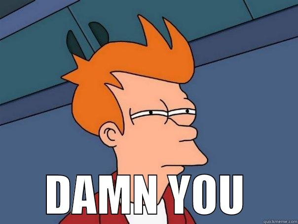  DAMN YOU Futurama Fry