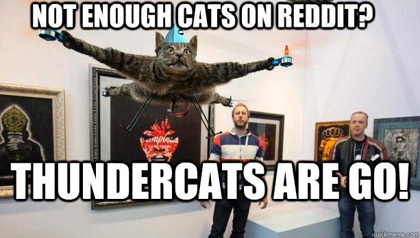 Not enough cats on reddit? Thundercats are go!  Orville the thundercat