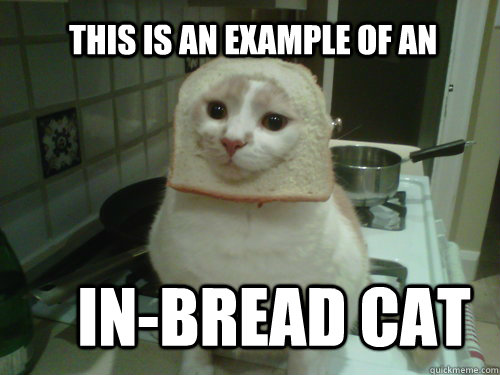In-Bread cat this is an example of an  In-Bread Cat