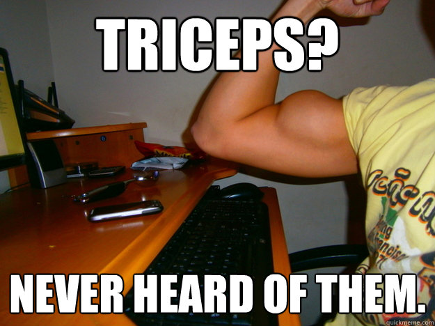 Triceps? Never heard of them. - Triceps? Never heard of them.  bicep meme