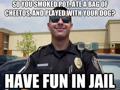 So you smoked pot, ate a bag of Cheetos, and played with your dog? Have fun in jail  Scumbag Cop