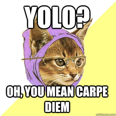 yolo? oh, you mean carpe diem  Hipster Kitty