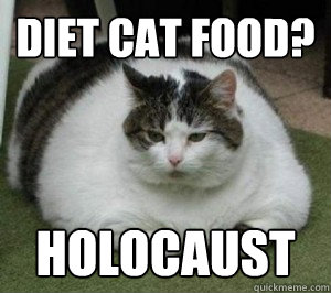 diet cat food? holocaust  Fat Cat
