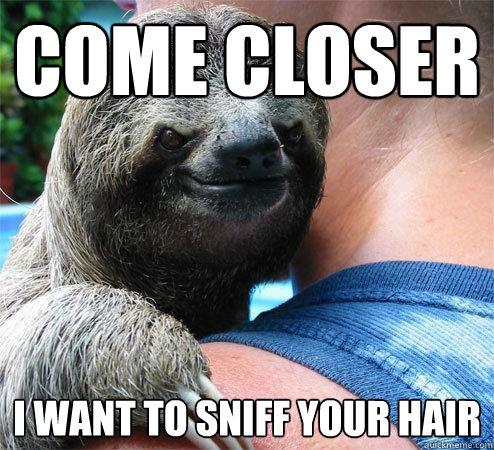 Come Closer I want to sniff your hair  Suspiciously Evil Sloth