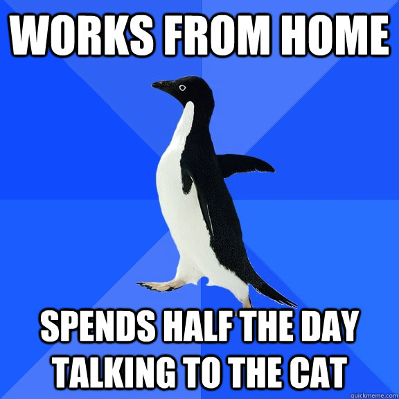 Works from home Spends half the day talking to the cat  Socially Awkward Penguin