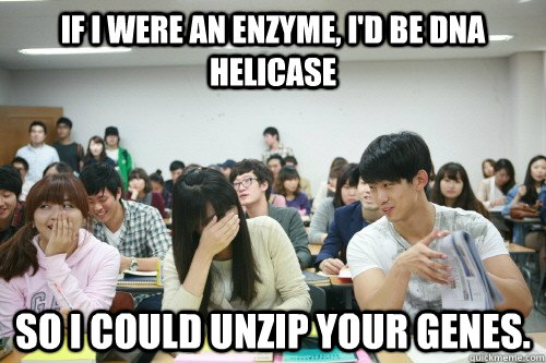 If I were an enzyme, I'd be DNA helicase so I could unzip your genes. - If I were an enzyme, I'd be DNA helicase so I could unzip your genes.  Asian Pick-up Artist