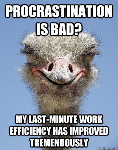Procrastination is bad? My last-minute work efficiency has improved tremendously - Procrastination is bad? My last-minute work efficiency has improved tremendously  Optimistic Ostrich