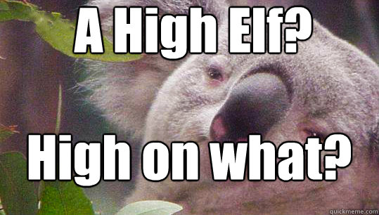 A High Elf? High on what? - A High Elf? High on what?  stoner koala