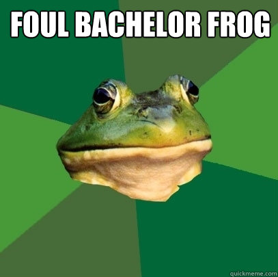 Foul Bachelor Frog   Foul Bachelor Frog