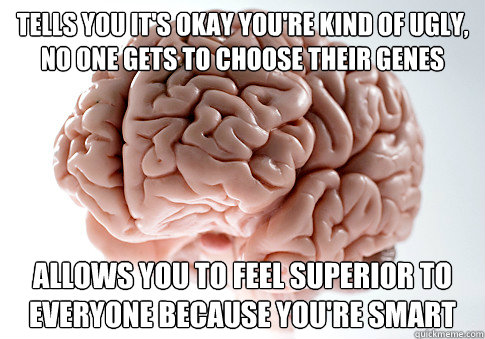 Tells you it's okay you're kind of ugly, no one gets to choose their genes Allows you to feel superior to everyone because you're smart   Scumbag Brain