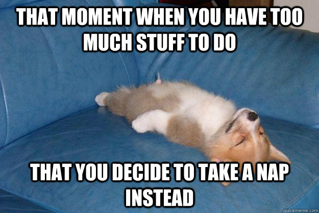 that moment when you have too much stuff to do that you decide to take a nap instead  