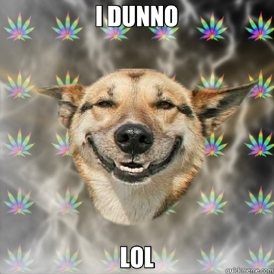 I DUNNO LOL  Stoner Dog
