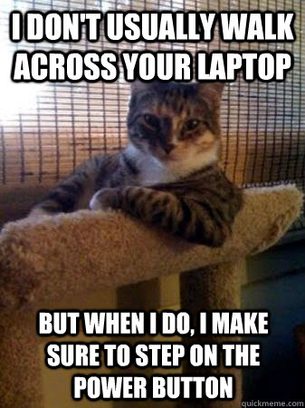 I don't usually walk across your laptop but when I do, i make sure to step on the power button  The Most Interesting Cat in the World