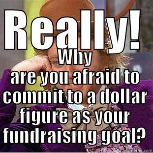 REALLY!  WHY ARE YOU AFRAID TO COMMIT TO A DOLLAR FIGURE AS YOUR FUNDRAISING GOAL? Condescending Wonka