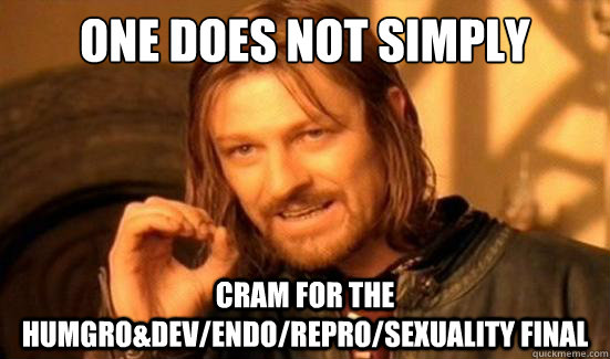 One Does Not Simply cram for the HumGro&Dev/Endo/Repro/Sexuality final  Boromir