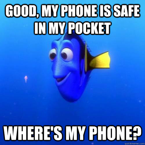 Good, my phone is safe in my pocket Where's my phone?  dory