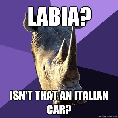 Labia? Isn't that an italian car?  Sexually Oblivious Rhino