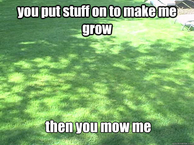 you put stuff on to make me grow then you mow me - you put stuff on to make me grow then you mow me  Grass