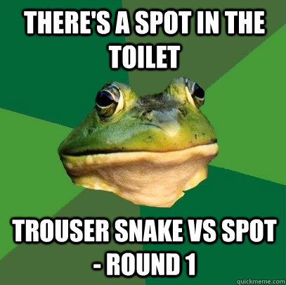There's a spot in the toilet Trouser snake vs spot - Round 1  Foul Bachelor Frog