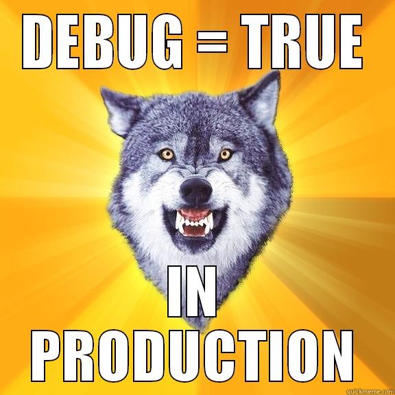 DEBUG = TRUE IN PRODUCTION Courage Wolf