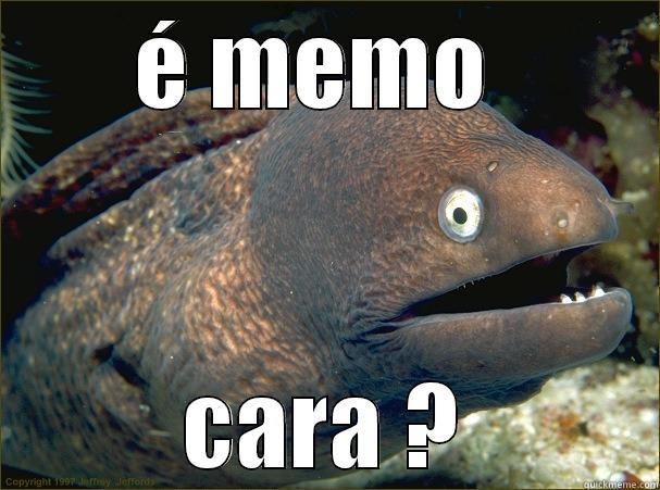 É MEMO  CARA ? Bad Joke Eel