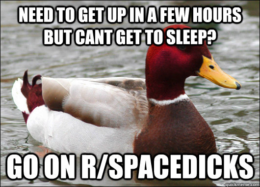 Need to get up in a few hours but cant get to sleep? go on r/spacedicks  Malicious Advice Mallard