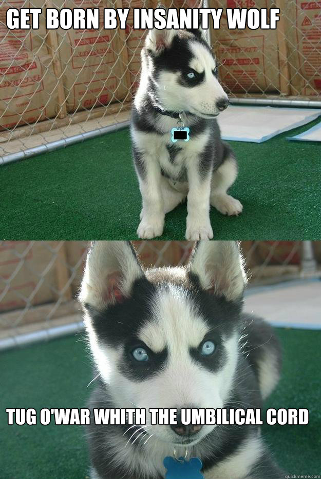 Get born by insanity wolf tug o'war whith the umbilical cord  Insanity puppy