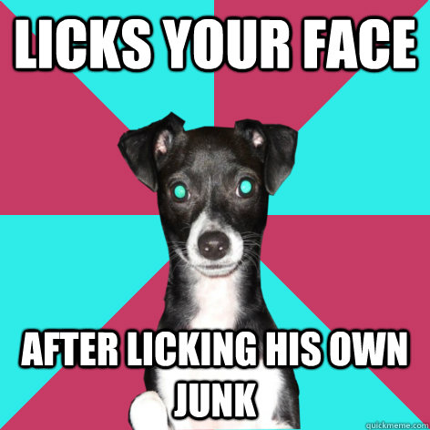 Licks your face after licking his own junk - Licks your face after licking his own junk  Dickhead Dog
