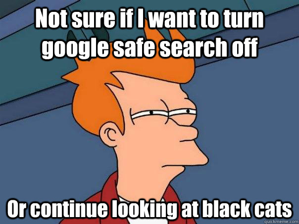 Not sure if I want to turn google safe search off Or continue looking at black cats  Futurama Fry