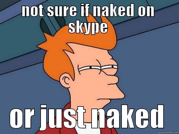 NOT SURE IF NAKED ON SKYPE OR JUST NAKED Futurama Fry