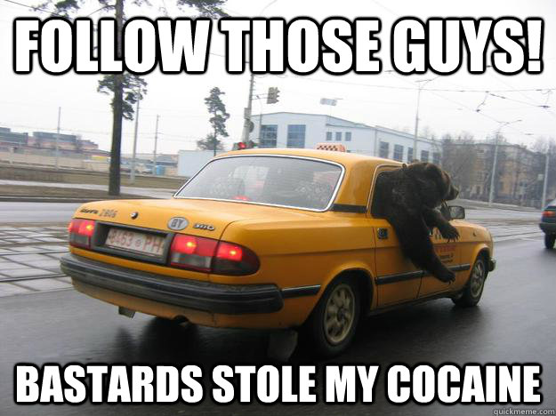 Follow those guys! bastards stole my cocaine  