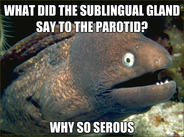 What did the sublingual gland say to the parotid? Why so serous  Bad Joke Eel
