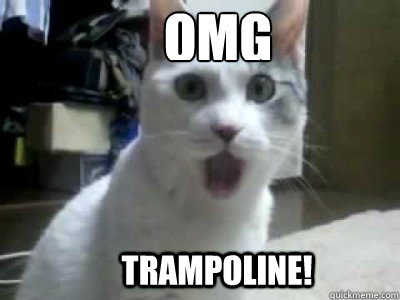 OMG Trampoline!  