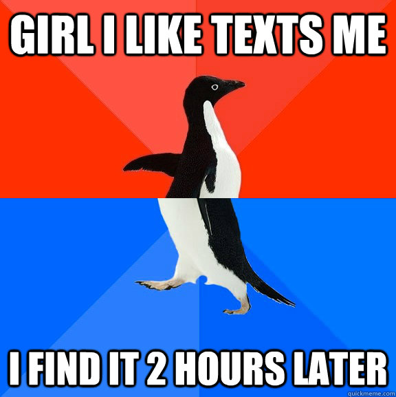 Girl I like texts me I find it 2 hours later  Socially Awesome Awkward Penguin