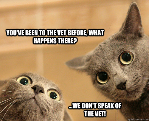 You've been to the vet before, what happens there? ...we don't speak of the vet! - You've been to the vet before, what happens there? ...we don't speak of the vet!  What is this sorcery