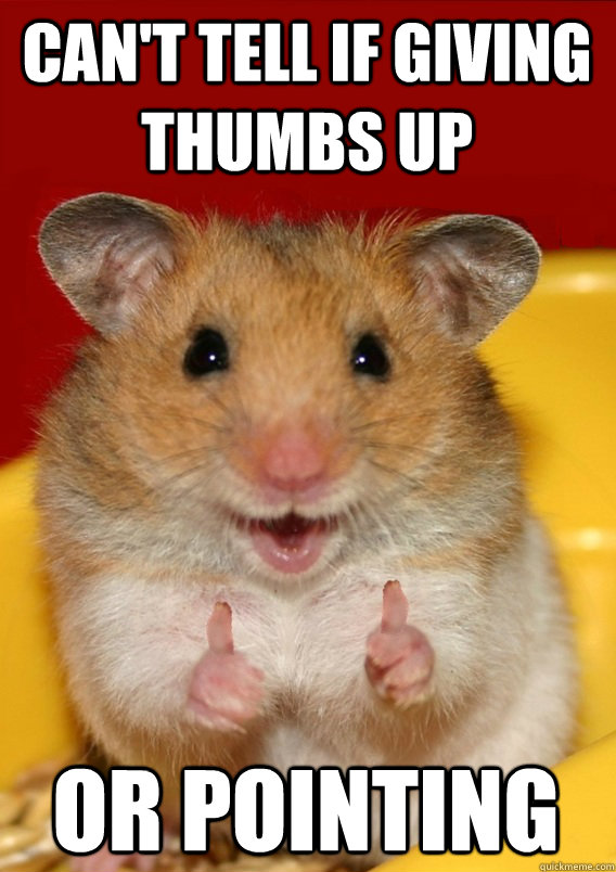 Can't tell if giving thumbs up or pointing   Rationalization Hamster