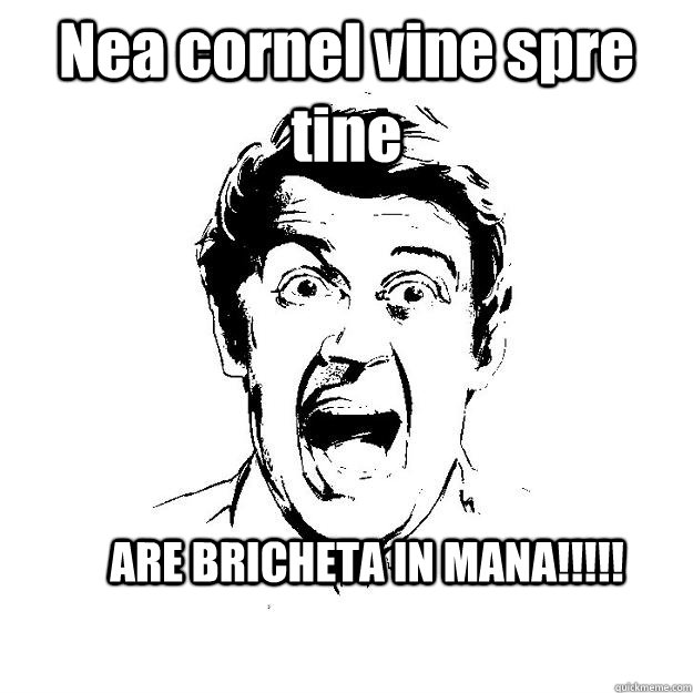 Nea cornel vine spre tine ARE BRICHETA IN MANA!!!!!  