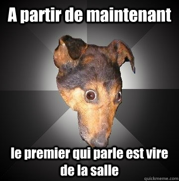 A partir de maintenant le premier qui parle est vire de la salle  Depression Dog