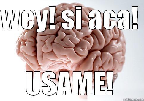 NO CHINGUES - WEY! SI ACA!  USAME! Scumbag Brain