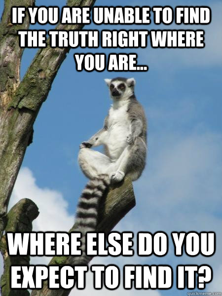 If you are unable to find the truth right where you are... Where else do you expect to find it? - If you are unable to find the truth right where you are... Where else do you expect to find it?  Zen ring-tailed lemur.