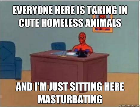 Everyone here is taking in cute homeless animals and i'm just sitting here masturbating  Spiderman Masturbating Desk