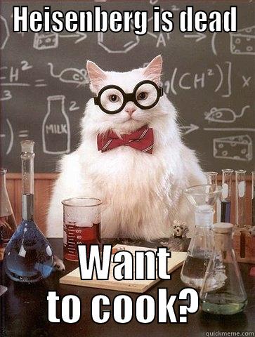 HEISENBERG IS DEAD WANT TO COOK? Chemistry Cat