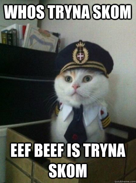 whos tryna skom eef beef is tryna skom  Captain kitteh