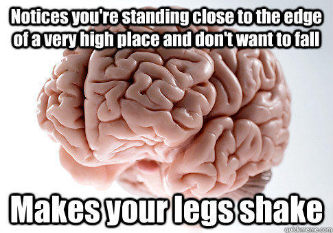 Notices you're standing close to the edge of a very high place and don't want to fall Makes your legs shake - Notices you're standing close to the edge of a very high place and don't want to fall Makes your legs shake  Scumbag Brain