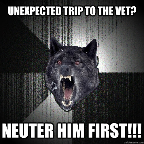 Unexpected trip to the Vet? NEUTER HIM FIRST!!! - Unexpected trip to the Vet? NEUTER HIM FIRST!!!  Insanity Wolf