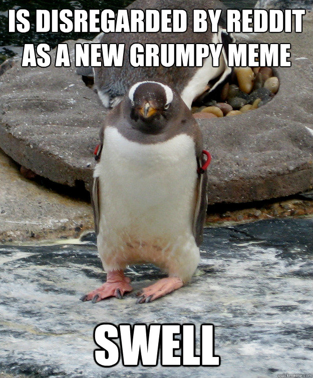 Is disregarded by Reddit as a new grumpy meme Swell  Grumpy penguin