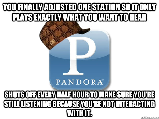 you finally adjusted one station so it only plays exactly what you want to hear Shuts off every half hour to make sure you're still listening because you're not interacting with it. - you finally adjusted one station so it only plays exactly what you want to hear Shuts off every half hour to make sure you're still listening because you're not interacting with it.  Misc